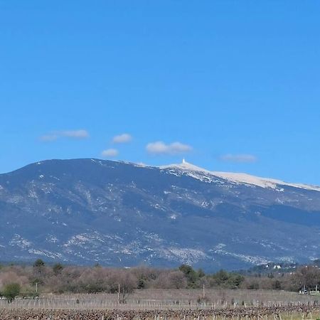 Mon Ventoux Villa Modene Dış mekan fotoğraf